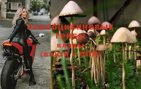 синтетический гашиш Волоколамск